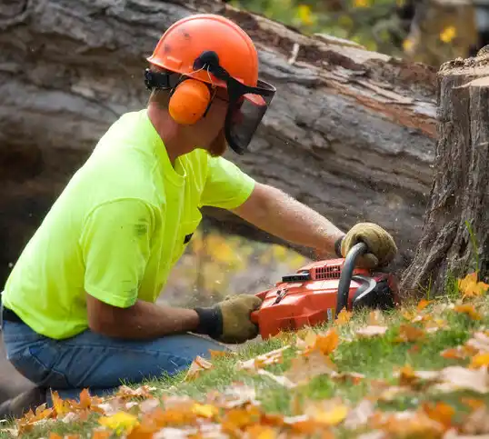 tree services Aberdeen